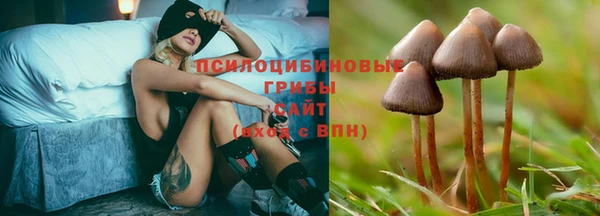 spice Осинники