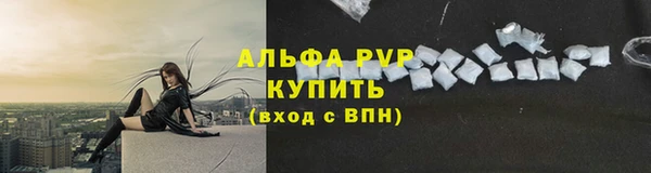 spice Осинники