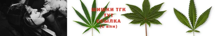 spice Осинники