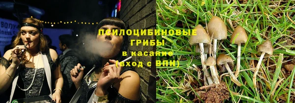spice Осинники