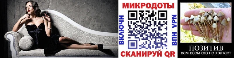 Галлюциногенные грибы Cubensis  Пыталово 
