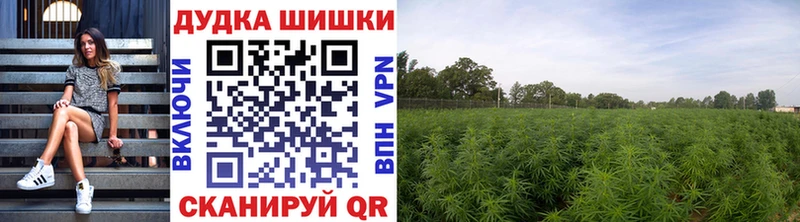 Каннабис планчик  OMG ONION  Пыталово  где можно купить  